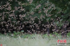澳门永利官方网彭俊超提醒公众